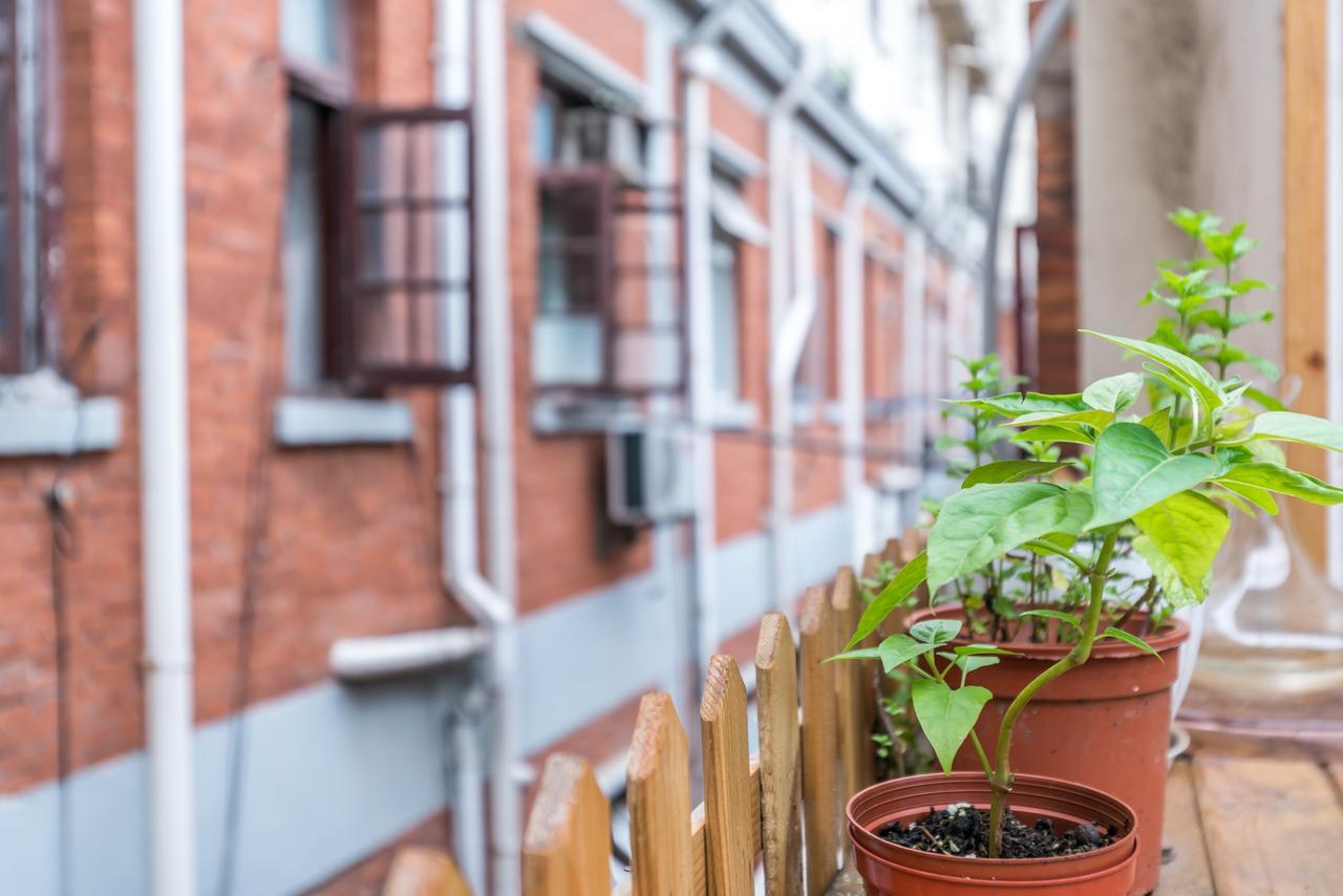 שנגחאי Cozy Apartment Best Location 302 מראה חיצוני תמונה